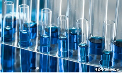 生物制品CDMO服务商鼎康生物完成超1.9亿美元A轮融资，加速产业布局