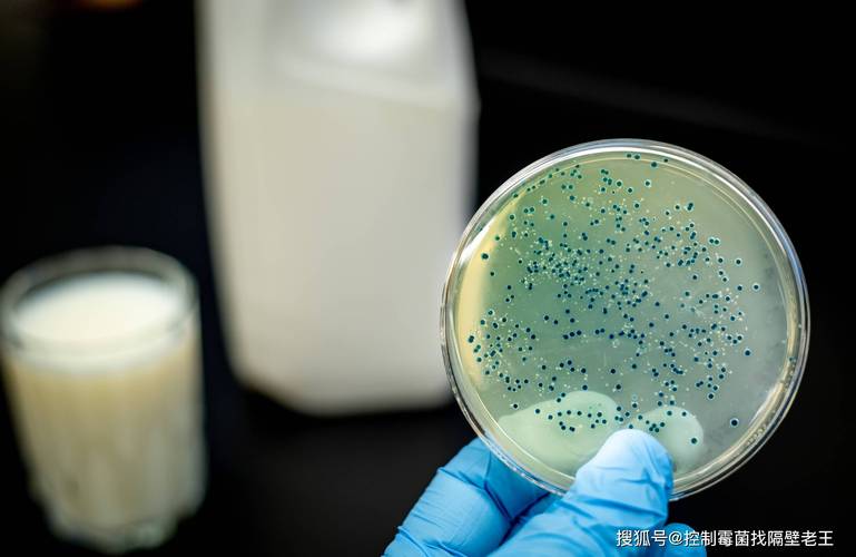 乳制品厂如何有效去除微生物污染