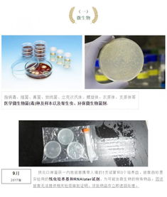 携带血液与生物制品进出境 海关监管的挑战与应对