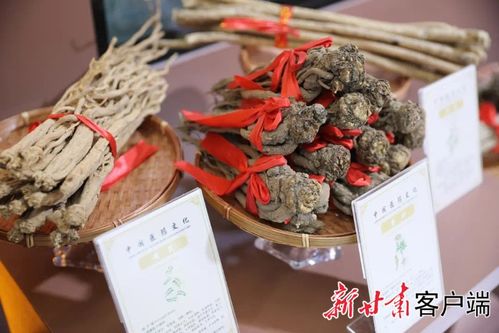 先睹为快 | 第三十届兰洽会生物医药馆布展工作圆满完成，生物制品领域亮点纷呈